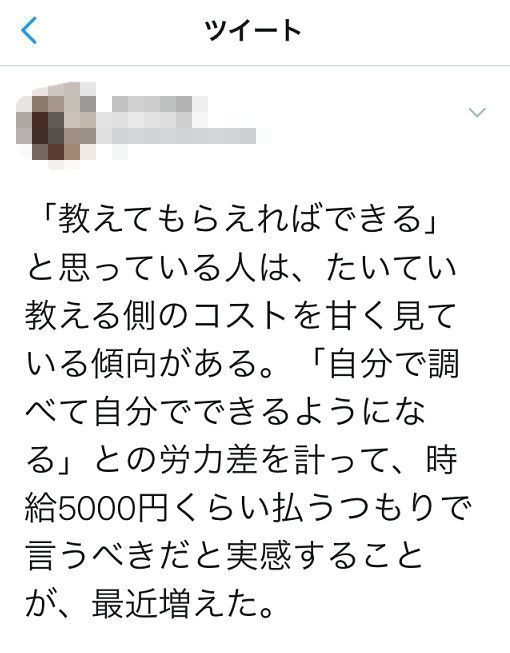 化けの皮 Ffxiの青い日記 3冊目